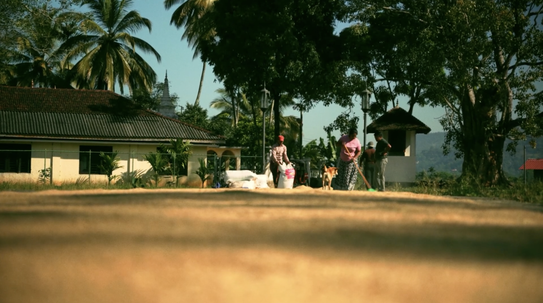 Filmstill Sri Lanka - Labour